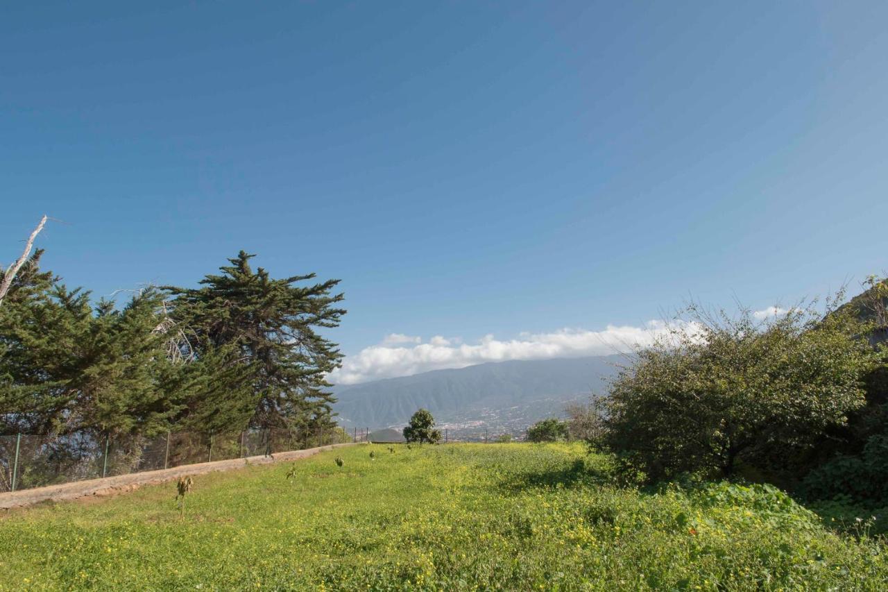 Casas En Finca Ecologica La Espiral, Naturaleza, Calma Y Vistas Al Mar, Icod el Alto エクステリア 写真
