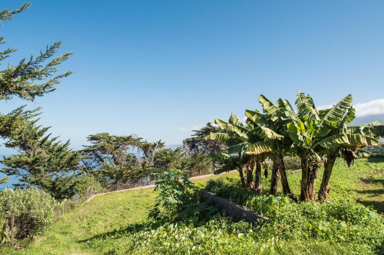 Casas En Finca Ecologica La Espiral, Naturaleza, Calma Y Vistas Al Mar, Icod el Alto エクステリア 写真