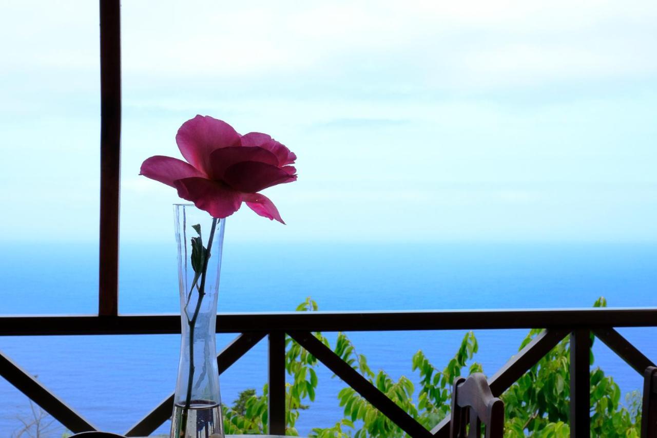 Casas En Finca Ecologica La Espiral, Naturaleza, Calma Y Vistas Al Mar, Icod el Alto エクステリア 写真