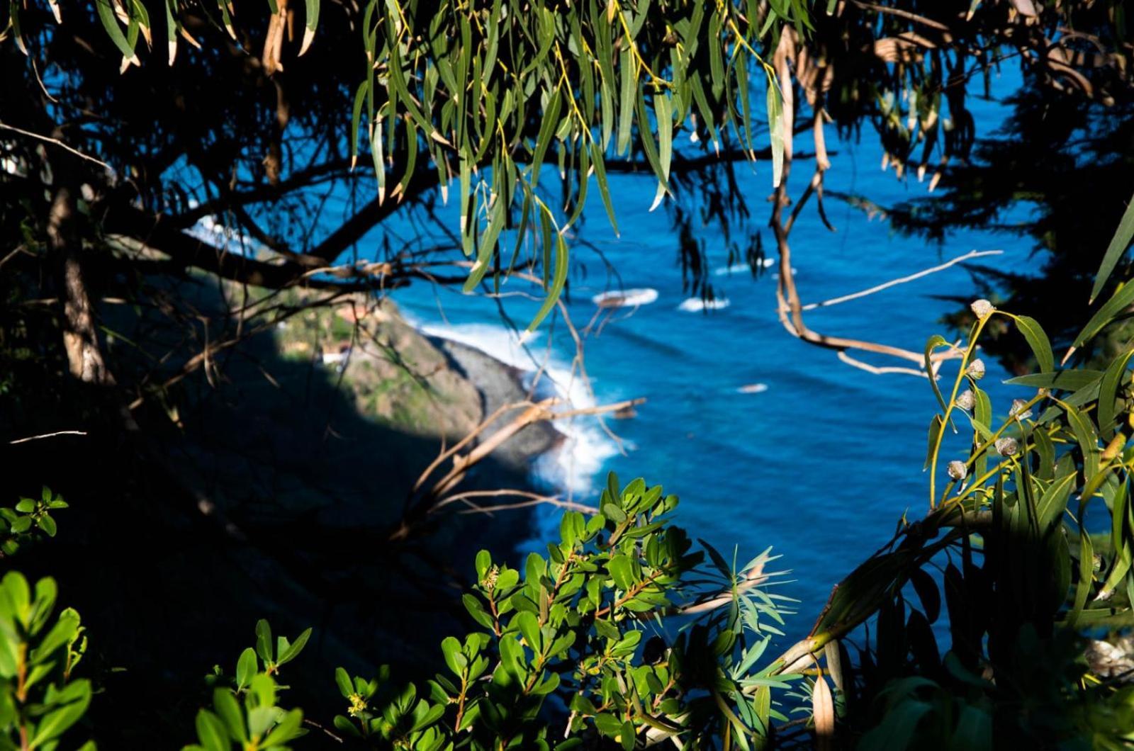 Casas En Finca Ecologica La Espiral, Naturaleza, Calma Y Vistas Al Mar, Icod el Alto 部屋 写真